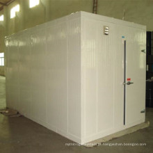 Alta Qualidade Container Freezer Room